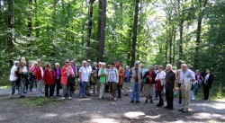 Kommt alle mit! Kommt alle mit!