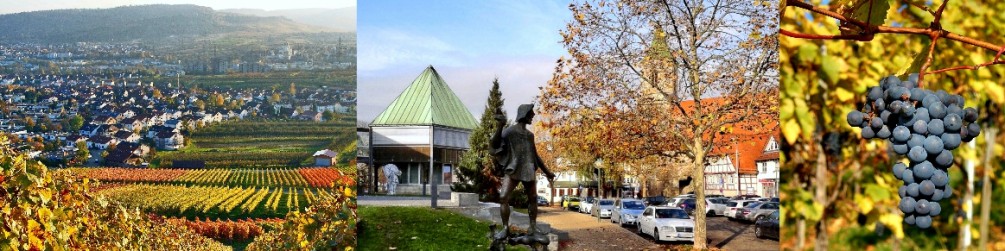 Schwäbischer Albverein | Ortsgruppe Weinstadt